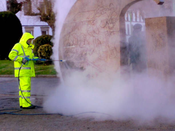 Best Roof Pressure Washing  in Mill City, OR